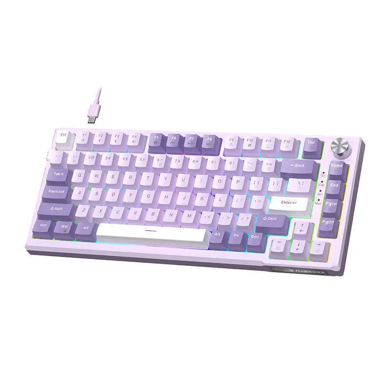 MageGee SKY81 Gaming Mechanical Keyboard Tenkeyless with RGB lighting (English US) Violet